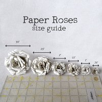 Book page Roses