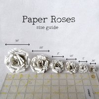 Alice in Wonderland Paper Roses