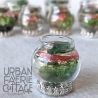 Fairy Fish bowl miniature