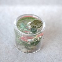 Fairy Fish bowl miniature
