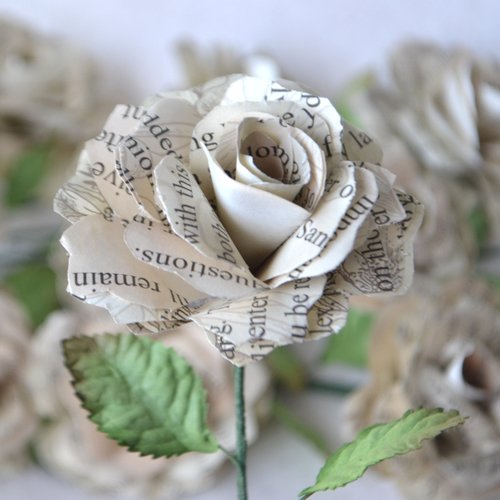 First Anniversary Paper Roses formatting fee