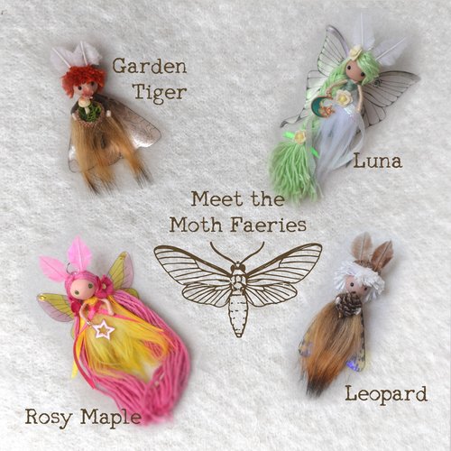 Pink Rosy Maple Moth fairy doll