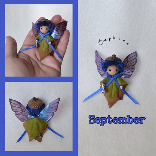 Boy Birthday Fairy  - Fall September, October, November