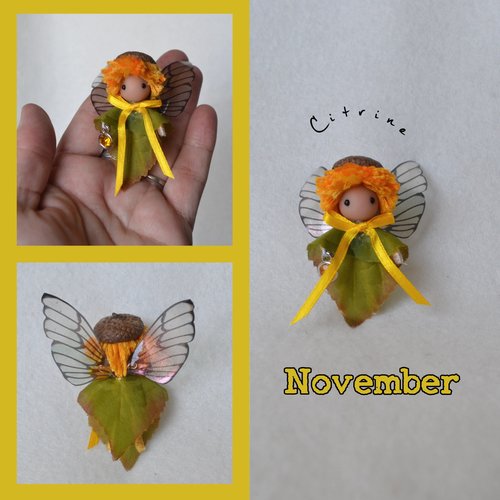 November Birthday Flower Fairy - boy or girl