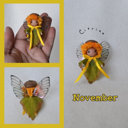 Boy Birthday Fairy  - Fall September, October, November